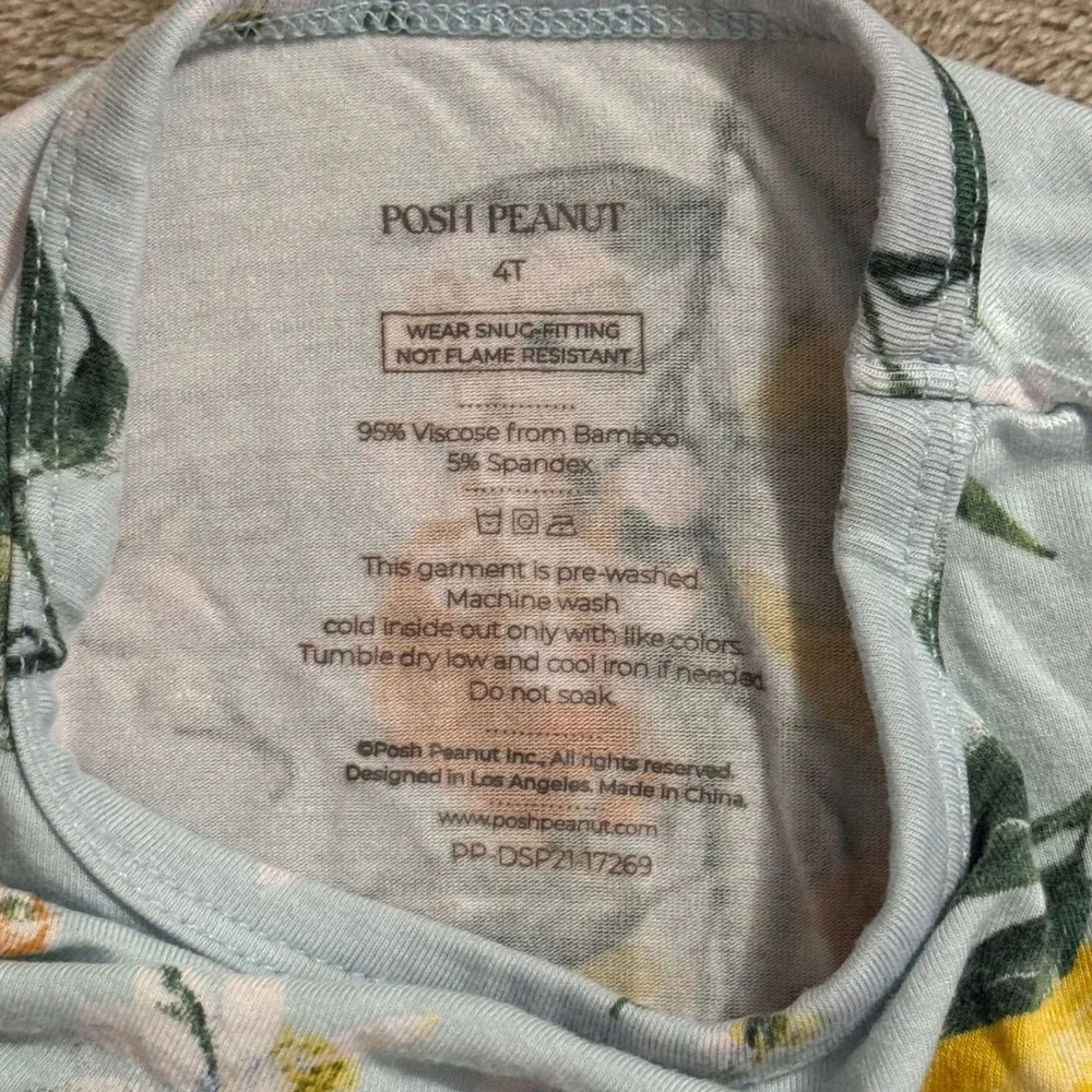 Posh Peanut Clementine Bamboo Viscose Pajama Set Kids 4T Blue Orange Lemon 2pc